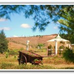 mariage-colonnades-champetre