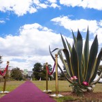 tapis-rouge-Accueil-marés-Colonnades-jardin